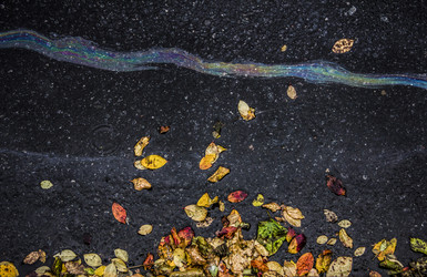 Similar image 21313009