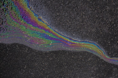 Similar image 21313010