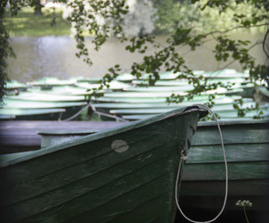 Similar image 21313016