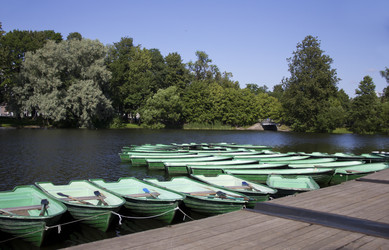 Similar image 21313021