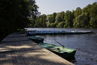 Similar image 21313029