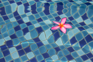 Similar image 21294706