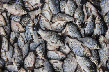 Similar image 21294775