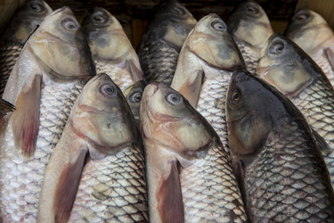 Similar image 21294778