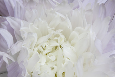 Similar image 21316483