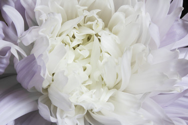 Similar image 21316484