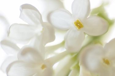 Similar image 21294793