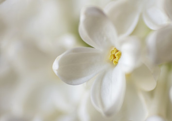 Similar image 21294795