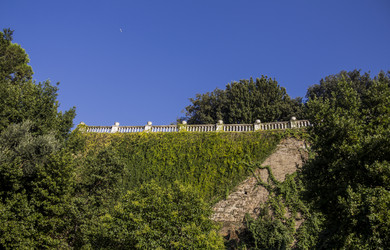 Similar image 21313064