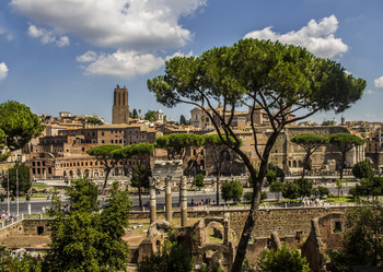 Similar image 21317360