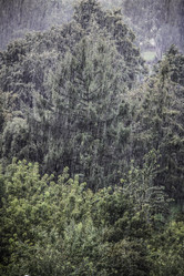 Similar image 21313100