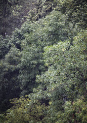 Similar image 21313102