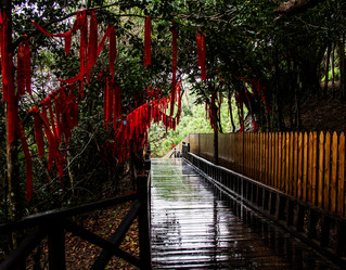 Similar image 21316500