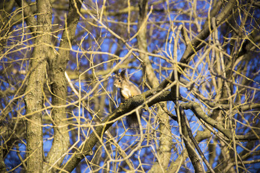 Similar image 21316501