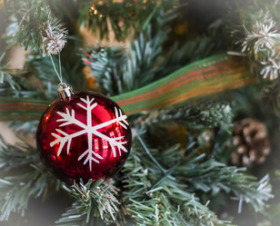 Similar image 21316502