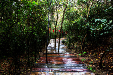 Similar image 21313112