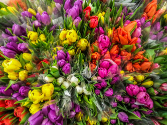 Similar image 21313116