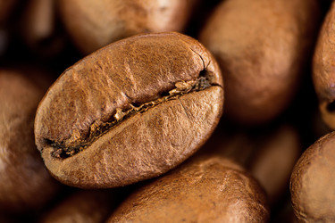 Similar image 21313118