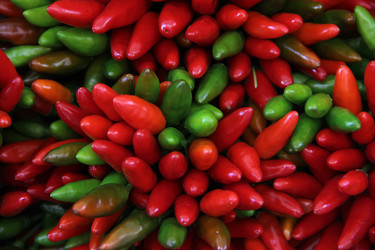 Similar image 21313124