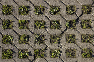 Similar image 21316436