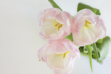 Similar image 21312968