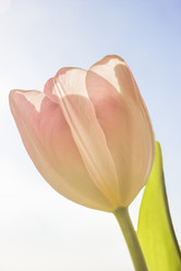 Similar image 21312969