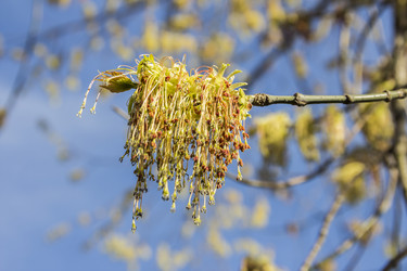 Similar image 21313135