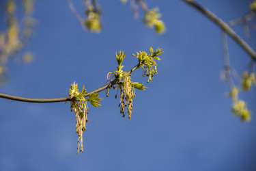 Similar image 21313137