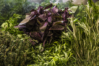 Similar image 21316438