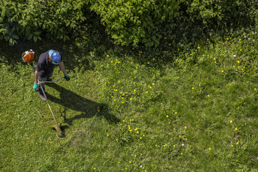 Similar image 21313149