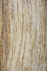 Similar image 21294713