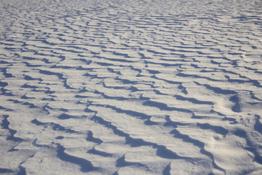 Similar image 21294715