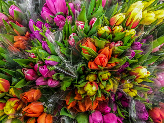 Similar image 21313152