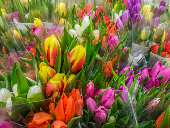 Similar image 21313153