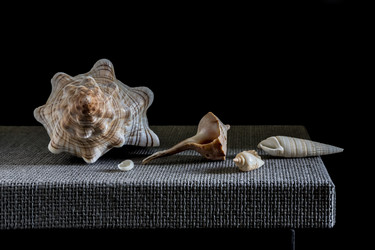 Similar image 21313155