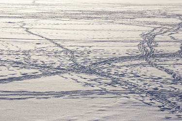 Similar image 21313156