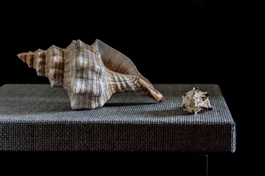 Similar image 21313157