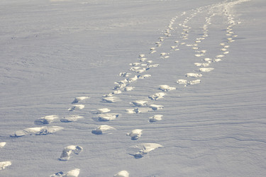 Similar image 21299834