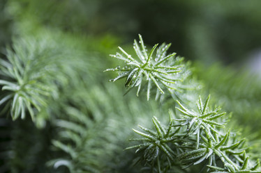 Similar image 21294801