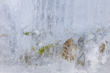 Similar image 21316505