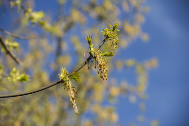 Similar image 21313166