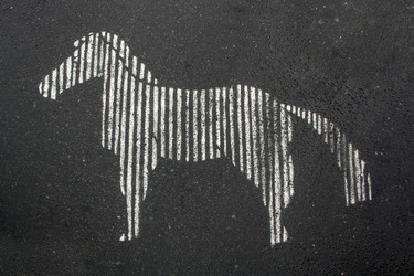 Similar image 21299838