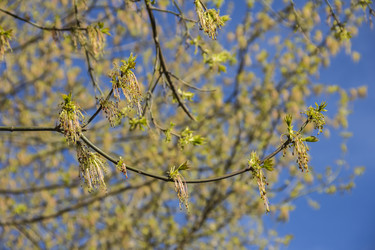 Similar image 21313171