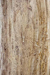 Similar image 21294833