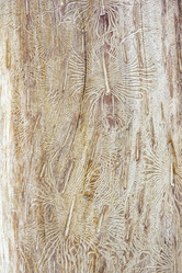 Similar image 21294834