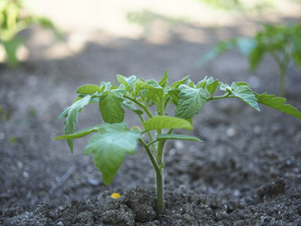 Similar image 21292715