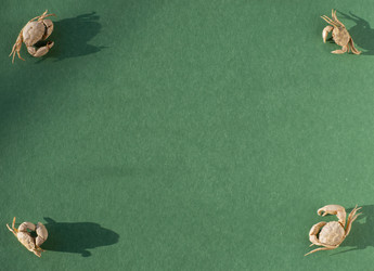 Similar image 21292717