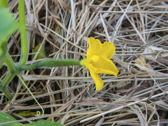 Similar image 21292718