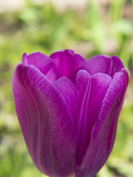 Similar image 21292720