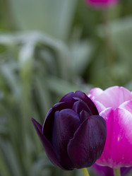 Similar image 21292726